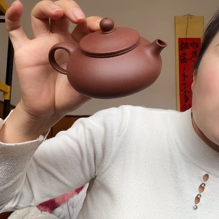 紫砂茶壶紫泥底青寒江150cc