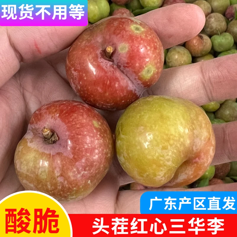 【现货】广东三华李红心李酸涩爽脆李子新鲜当季应季水果早红心李子