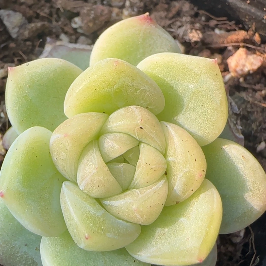 白财富密码一颗福利