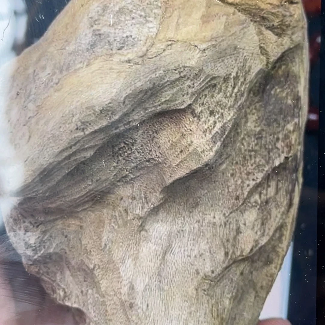 沉香黄油格1.2单圈