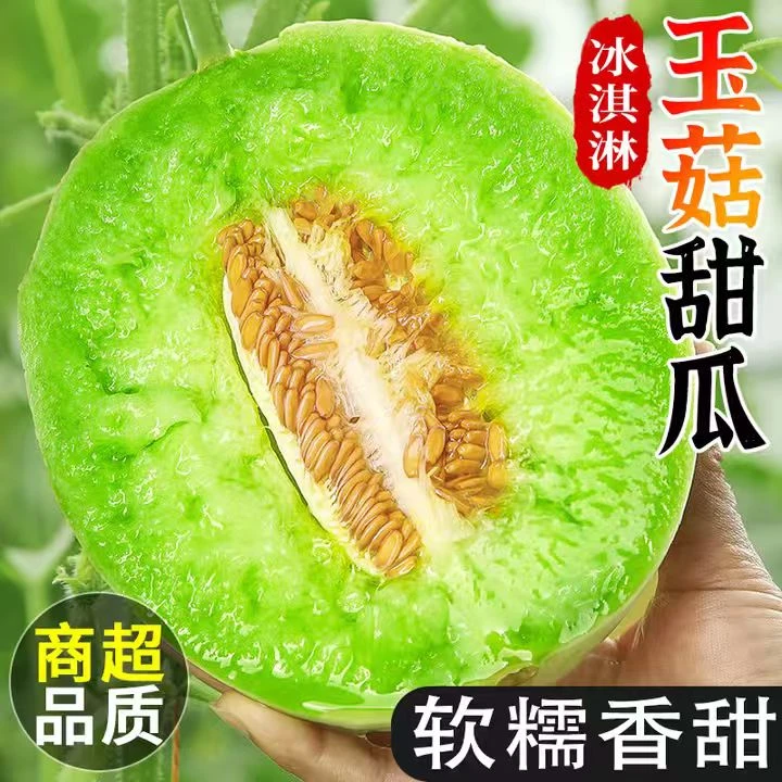 正宗海南冰淇淋玉菇甜瓜香甜多汁当季新鲜水果头茬蜜瓜香瓜现摘