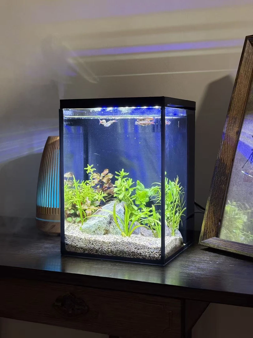 金晶玻璃可调节灯光可定时缸淡水缸15*15*20cm四重过滤送加热棒