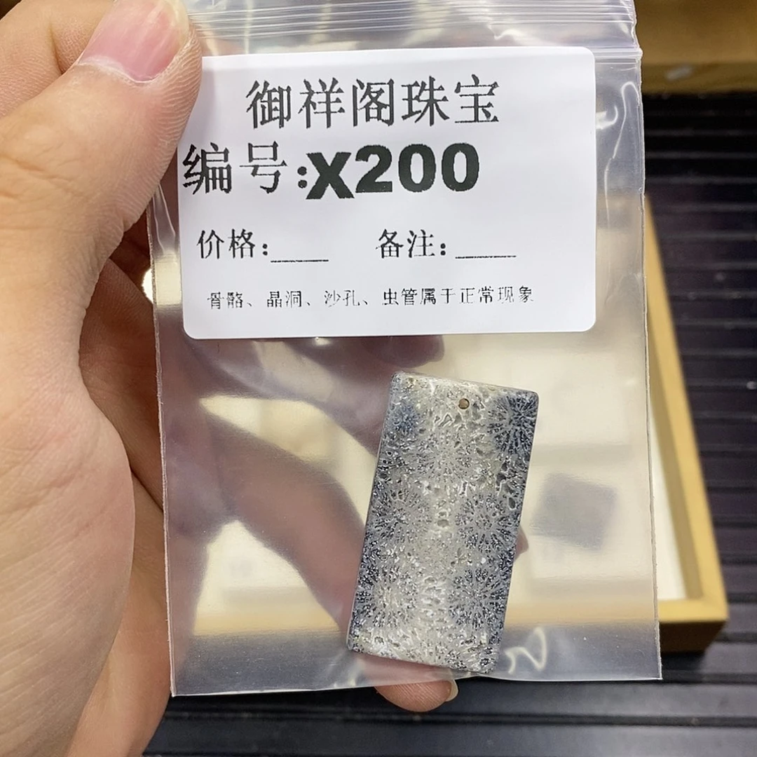 硅化珊瑚（珊瑚玉）未镶嵌颈饰柚*