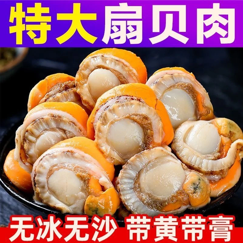 大号扇贝肉40-60粒 无泥无沙带膏带黄 净重无冰 顺丰冷链到家