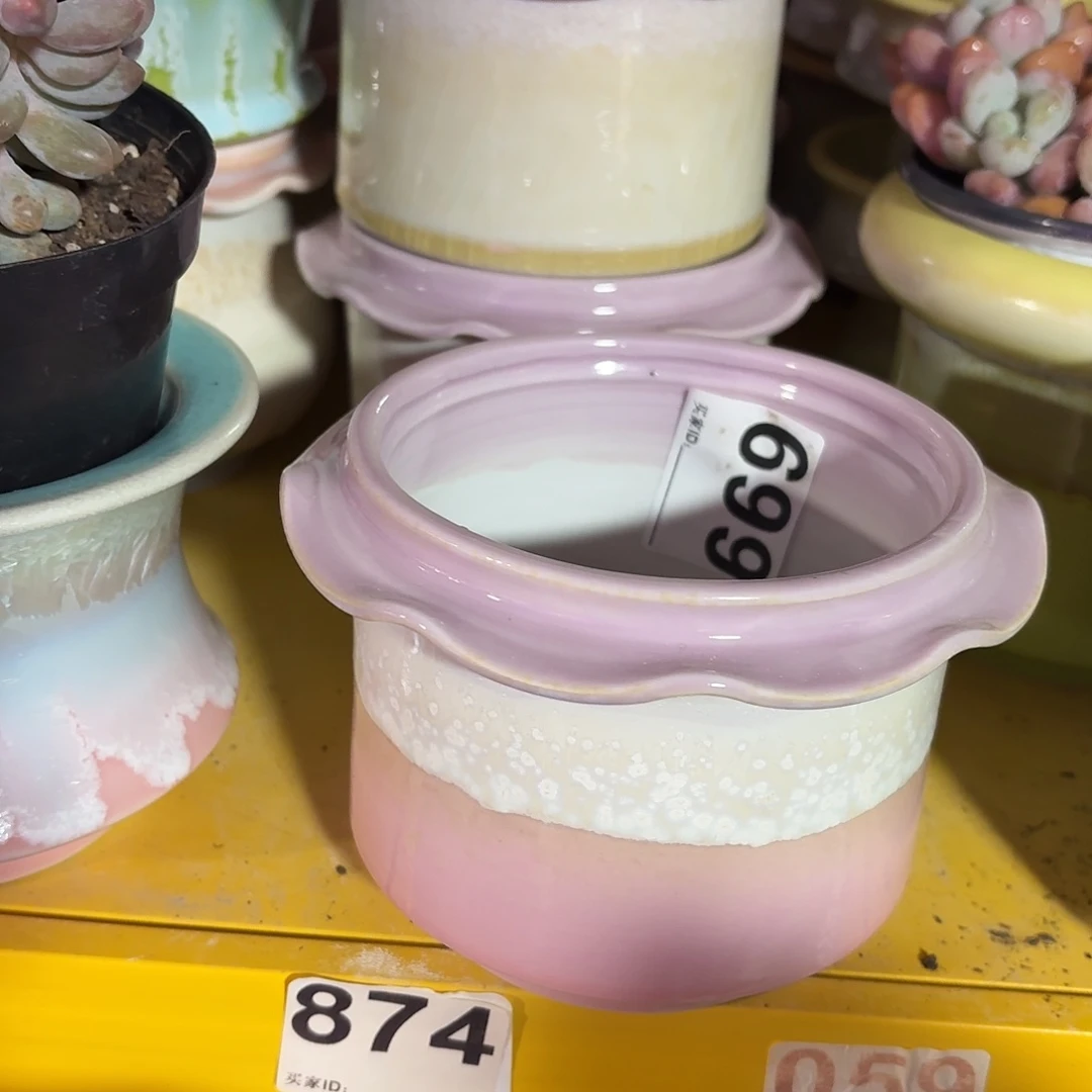 景德镇多肉花盆699