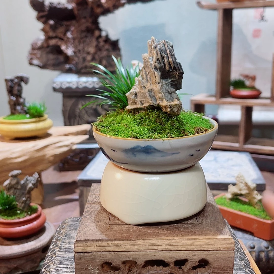 完全开放000000003