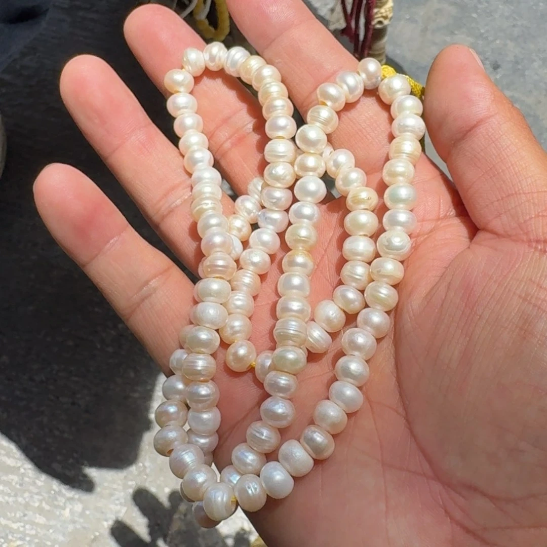 白玉菩提吊坠菩提树等树木的生长