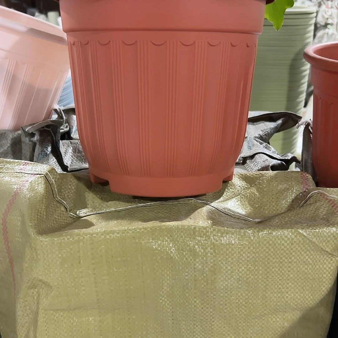 树脂罗马280陶红4个无托