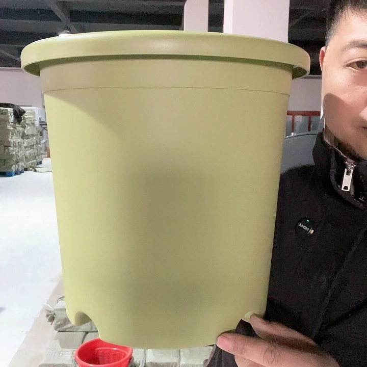 塑料圆6号绿3个无托