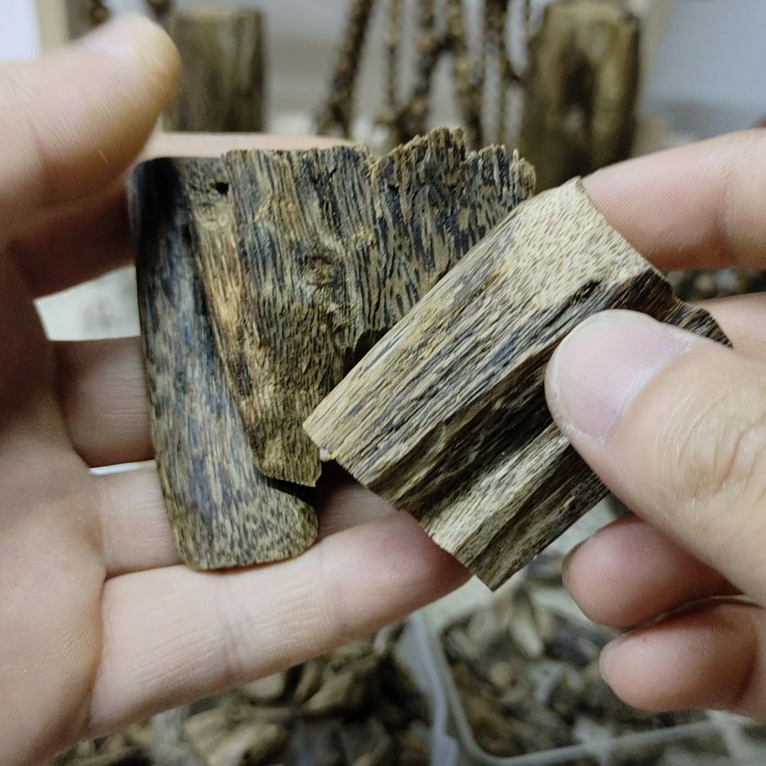 沉香沉香碎屑沉香树丁