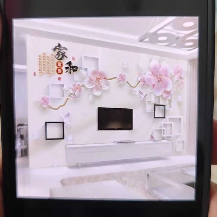 小***汪客厅电视墙壁画壁布