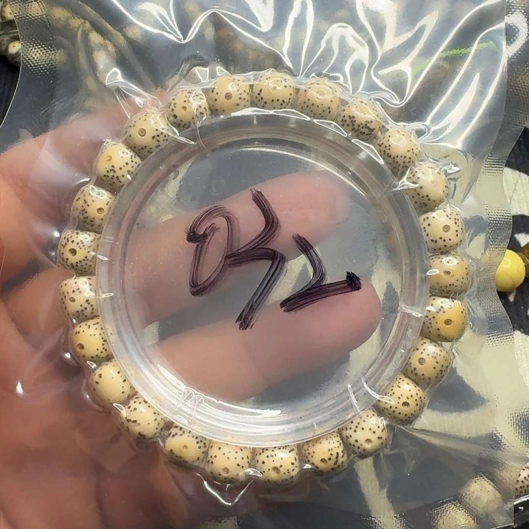 手串星月菩提老料032