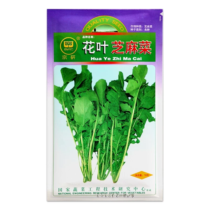 【农科院】京研芝麻菜种子蔬菜种子农科院阳台小菜园盆栽简单易种