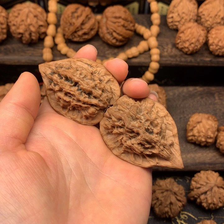 ?****哥秦岭森林生态系统保护