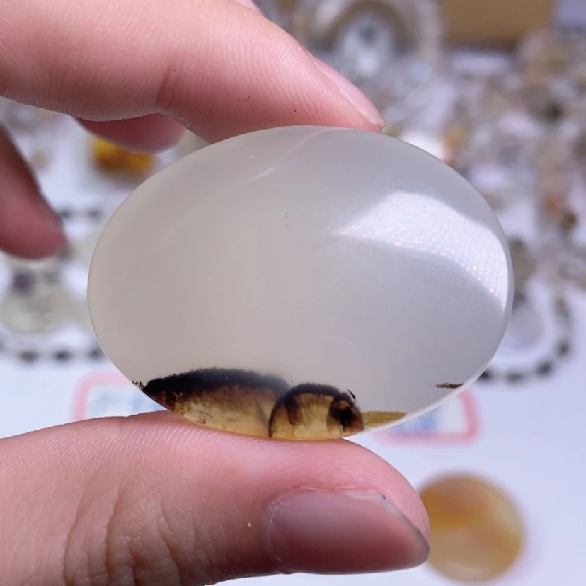 【闪购商品】玛瑙/玉髓颈饰合金