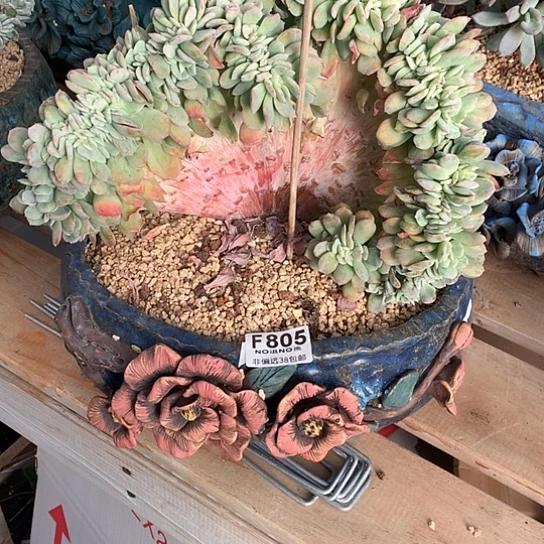 旻***子天鹅绒缀化805  需延迟发货退款拉黑