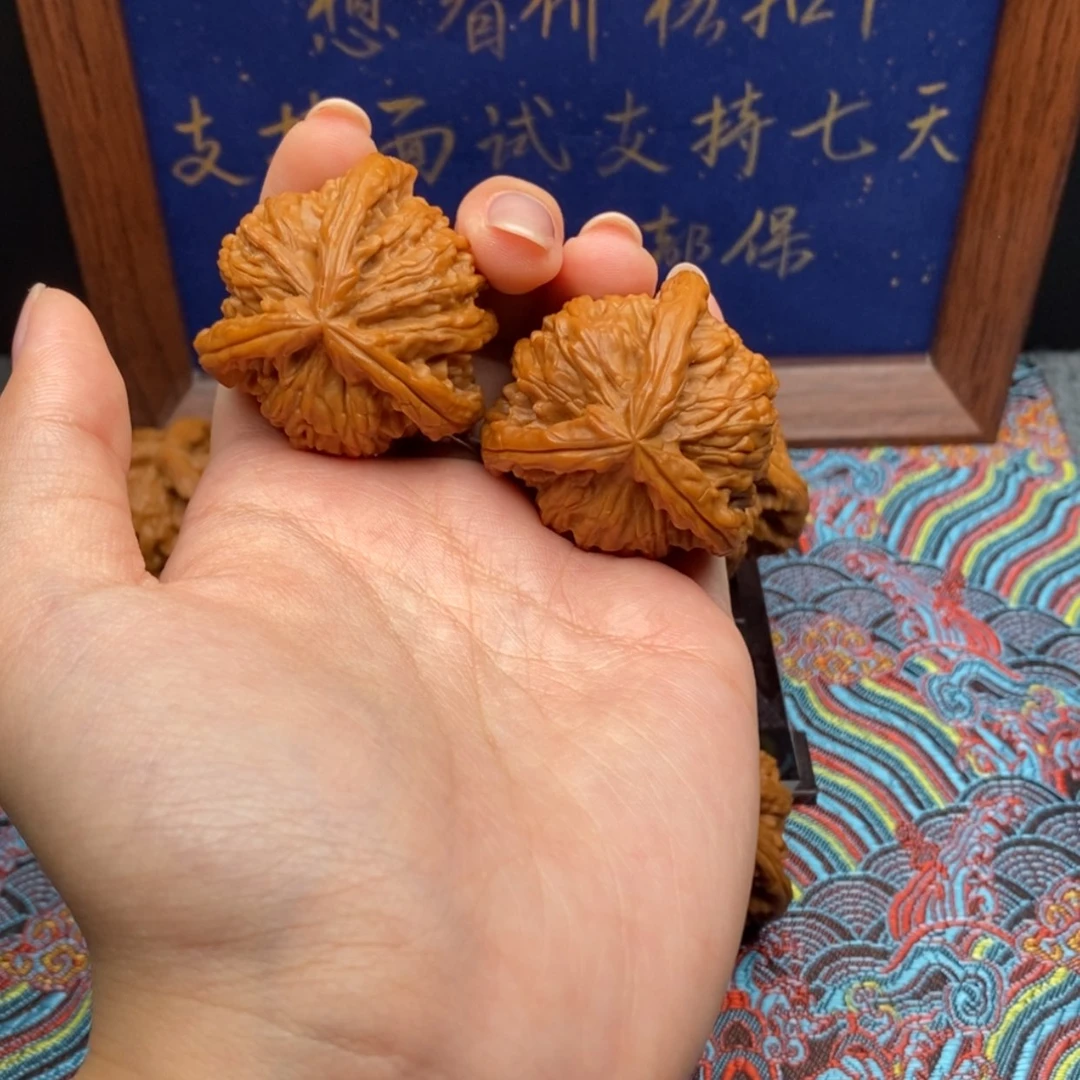 【闪购商品】D****轩白狮