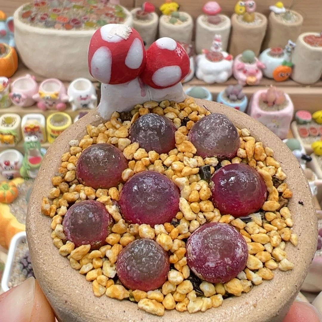 多肉植物1号灯泡红色