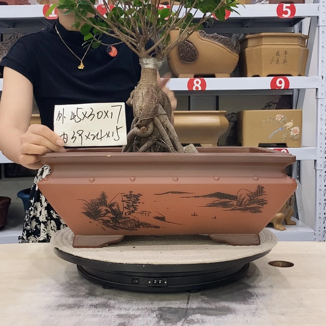 紫砂花盆紫砂花盆