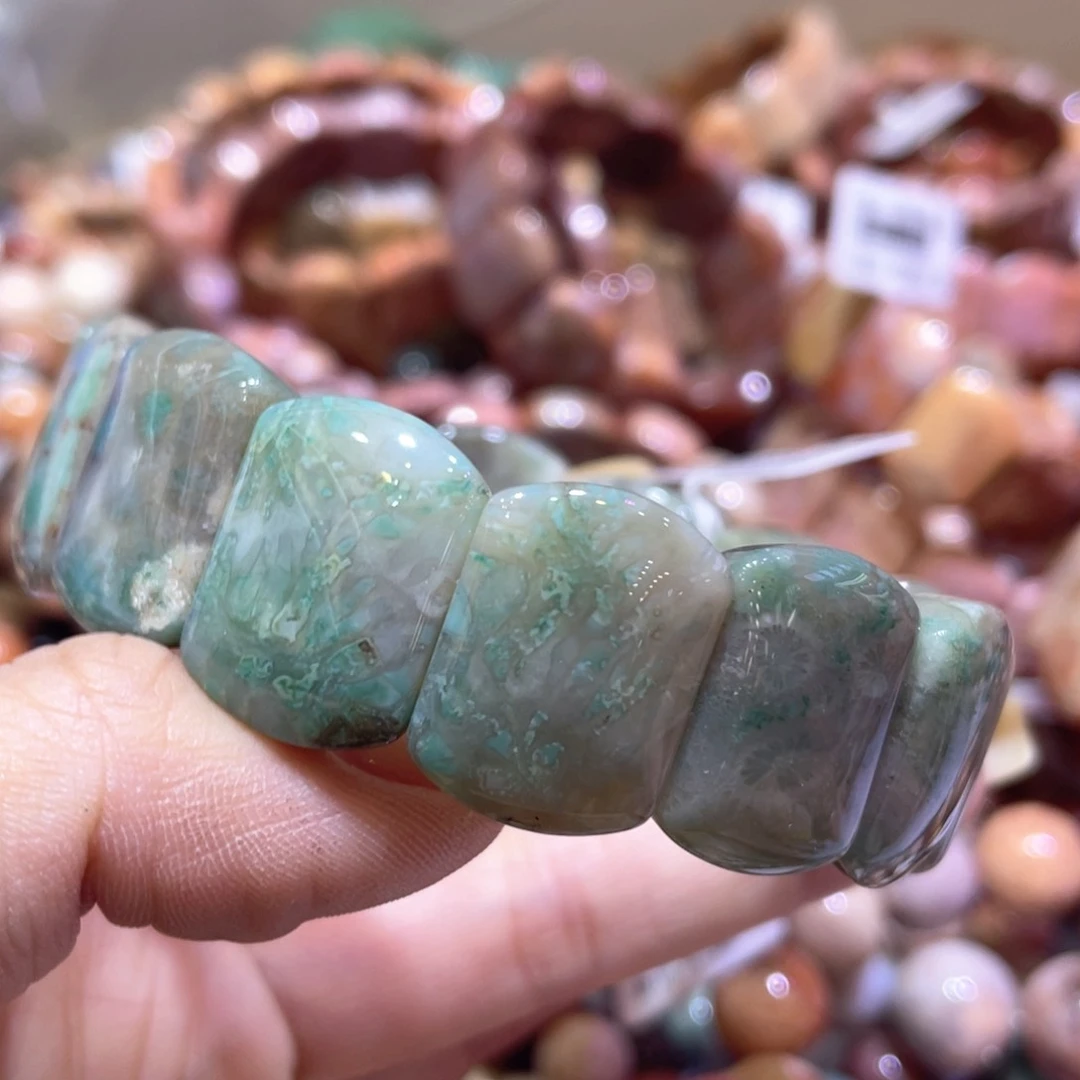 未镶嵌手链硅化珊瑚（珊瑚玉）117