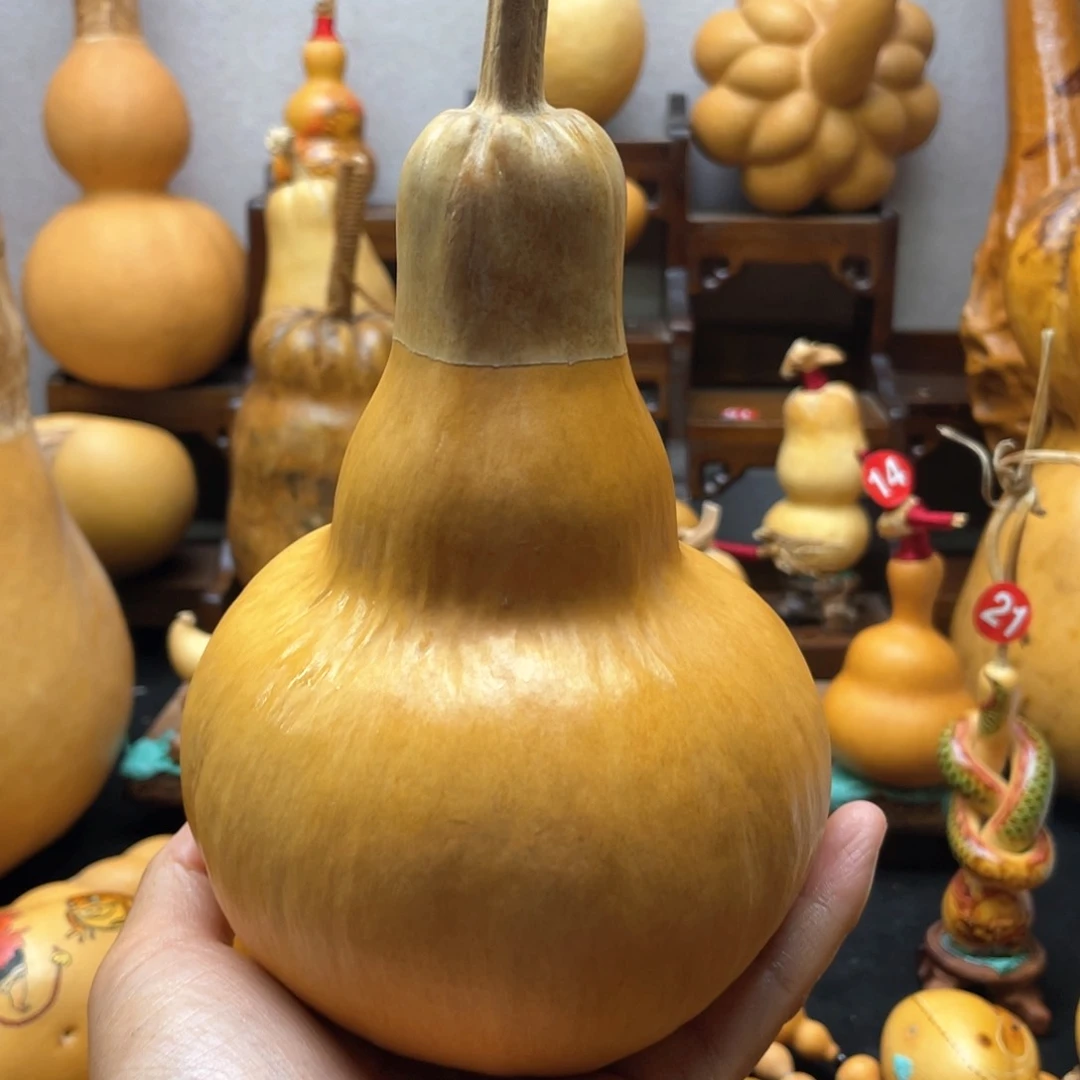孙**蓓大自然的秘密是什么啊