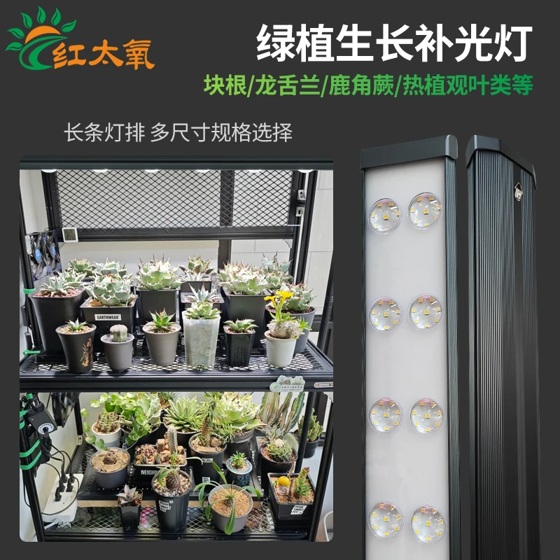 红太氧全光谱绿植补光灯家用块根龙舌兰鹿角蕨热植观叶植物生长灯