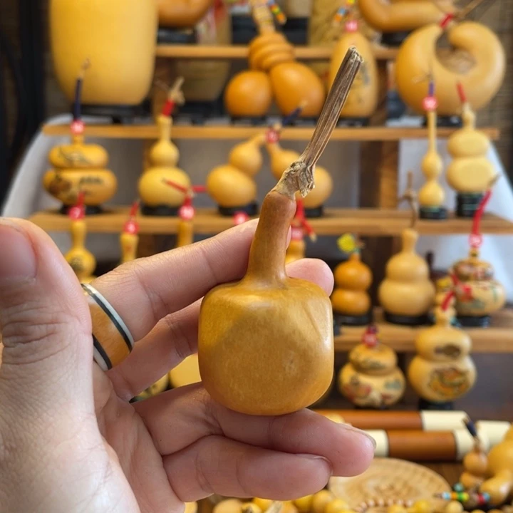 小*仙天然葫芦自然生长小