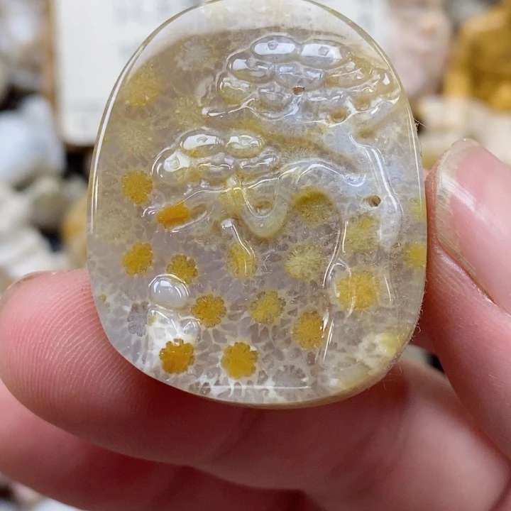 颈饰未镶嵌硅化珊瑚（珊瑚玉）有瑕 小