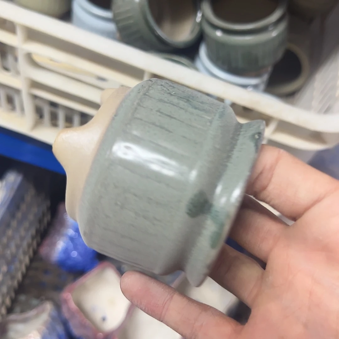 福利局绿植多肉盆［凑9元包邮24小时发］2062