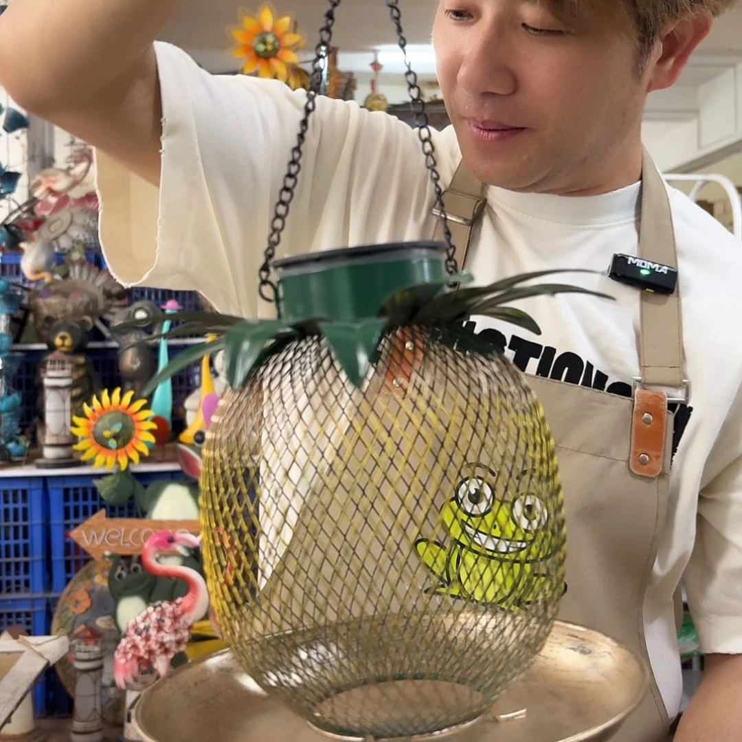 核桃木/黑胡桃（胡桃木）