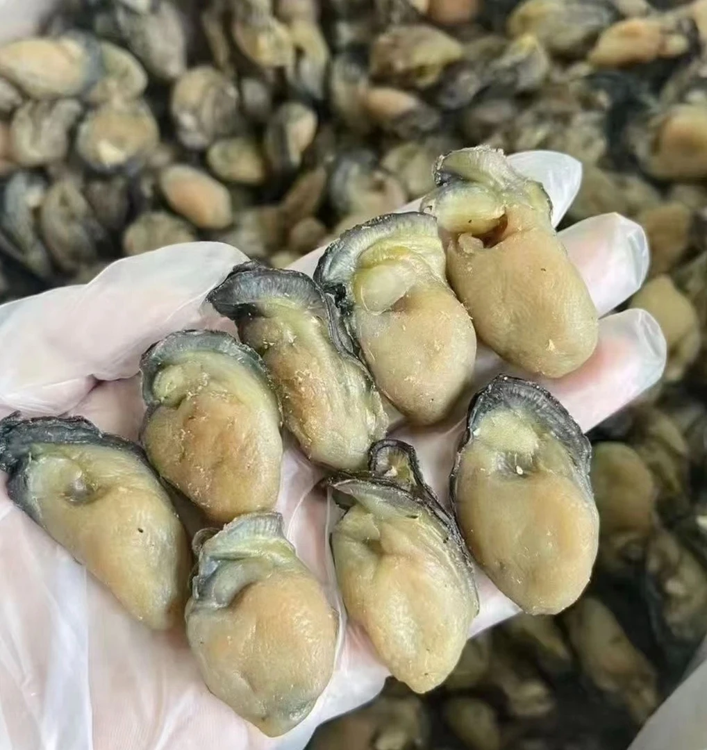 【大号生蚝干】生晒不抽油蚝豉干生蚝干海蛎干金蚝干滋补海产干货