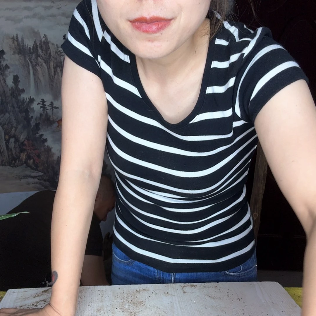 木西*太行崖柏摆件