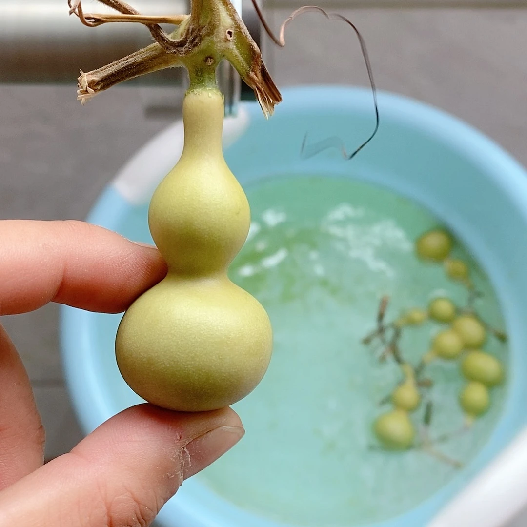 周*3号小葫芦啊啊啊啊