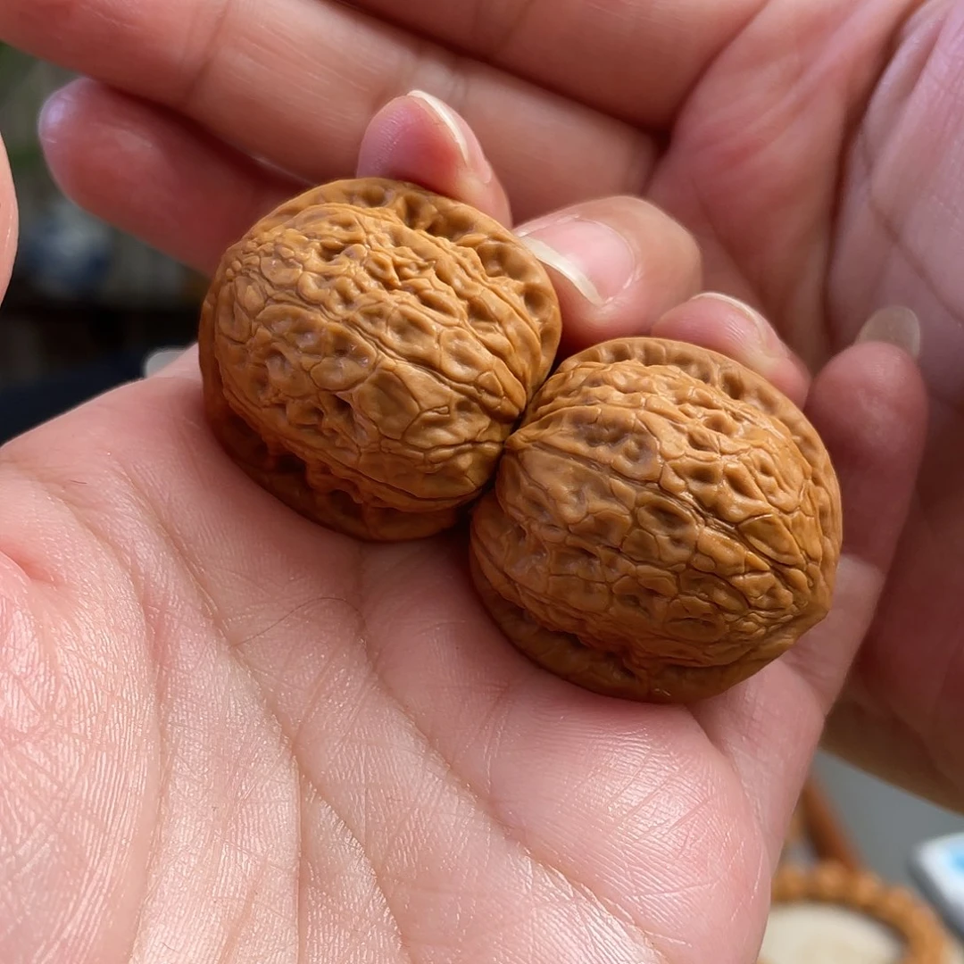 桃核把件32×30尺全品野生夜明珠CN01463已打底