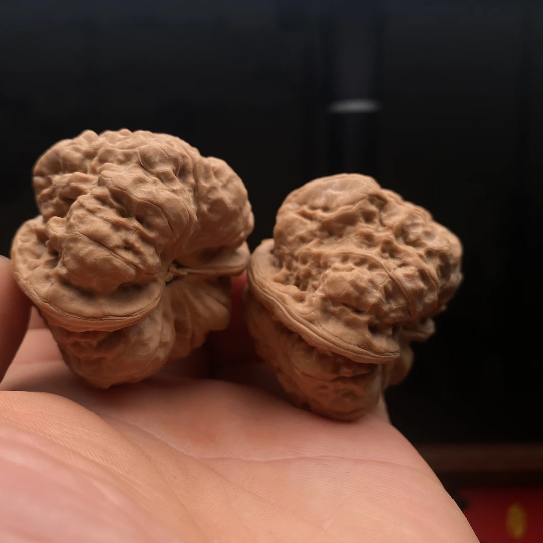 编号25285，边46肚45，延庆山地果，矮桩巨无霸凹底大粗棱！