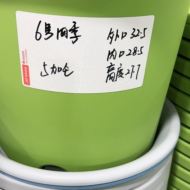 特价6号口32.5高27白色7只无托