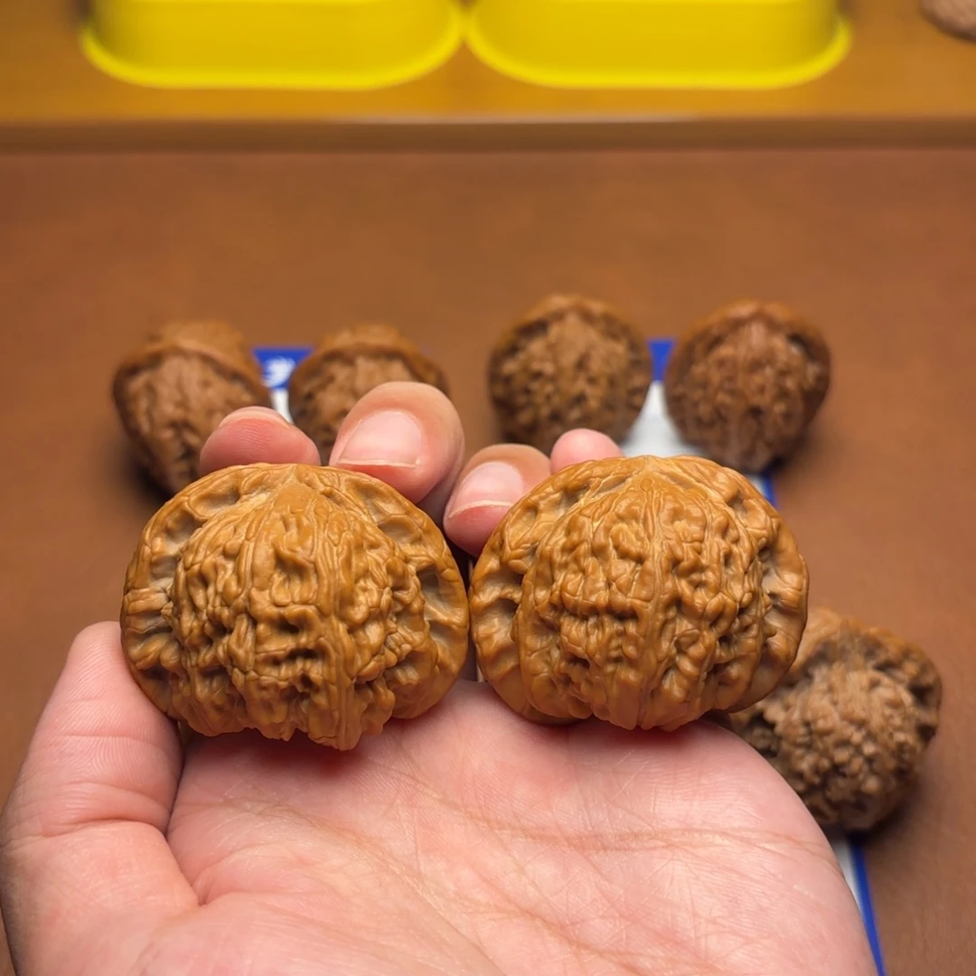 把件文玩核桃46白狮子714