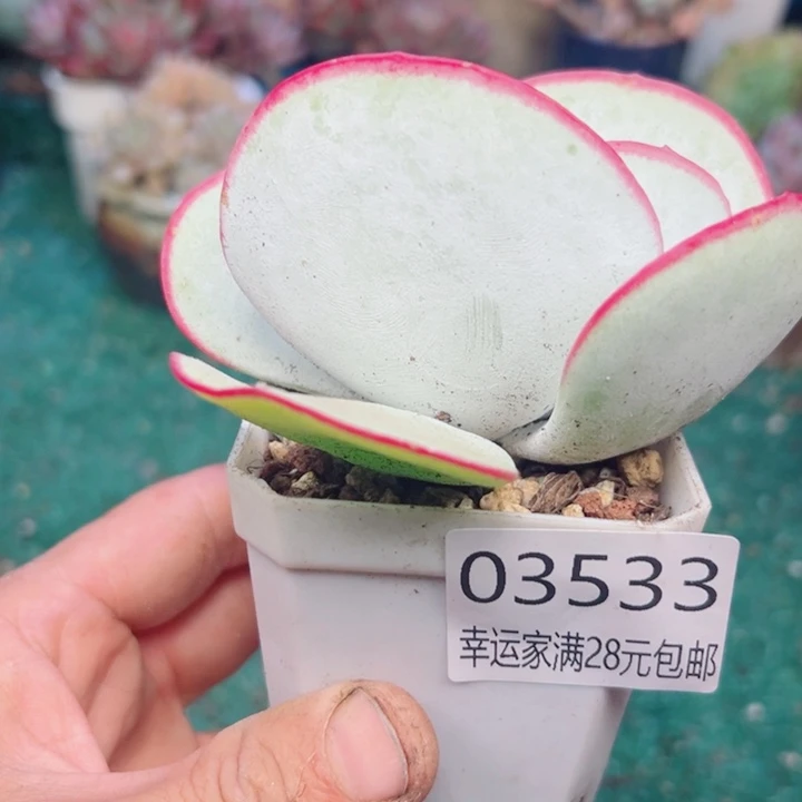 幸运的是我还没遇到