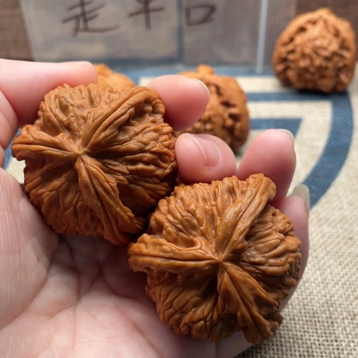 星***星核桃白狮子44核桃