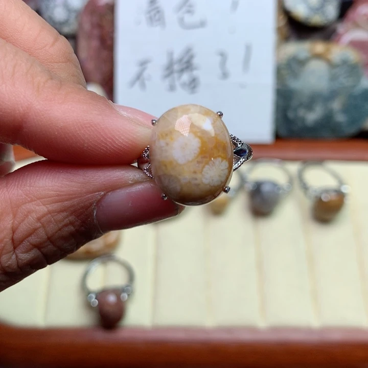 硅化珊瑚（珊瑚玉）颈饰未镶嵌