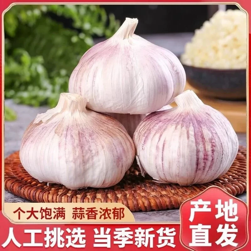 【S】2025年新货干蒜高品质香辣味十足饱满大蒜头干蒜5斤