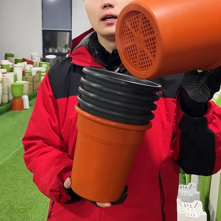 清仓翻边口21高22混色6只无托