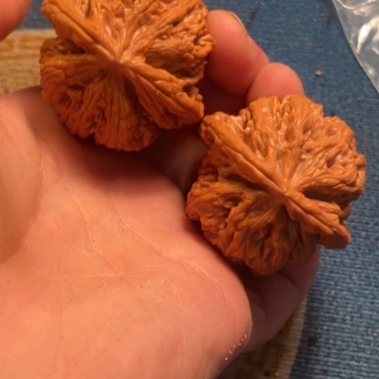 吊坠桃核全品粗筋45