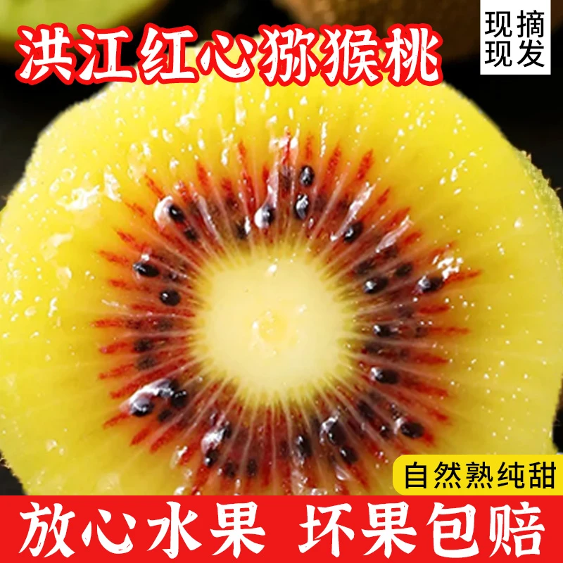 正宗湖南安江红心猕猴桃香甜精品大果现摘现发新鲜水果坏果包赔