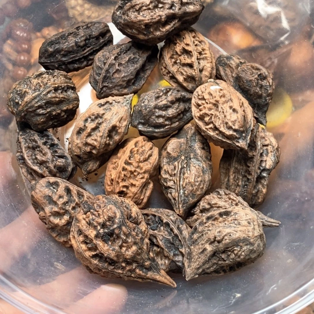 文玩核桃吊坠核桃15