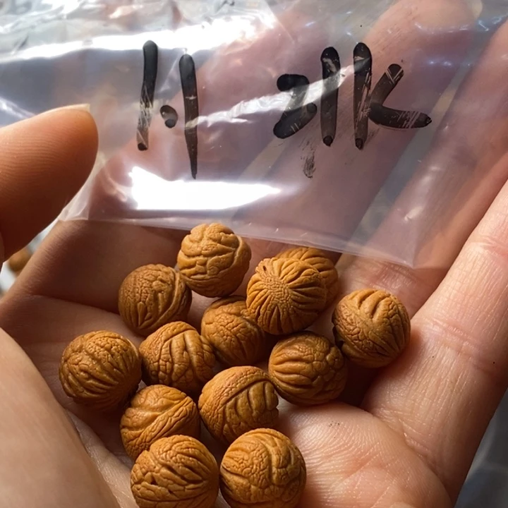 手串文玩核桃秦岭野生龙纹桃核11
