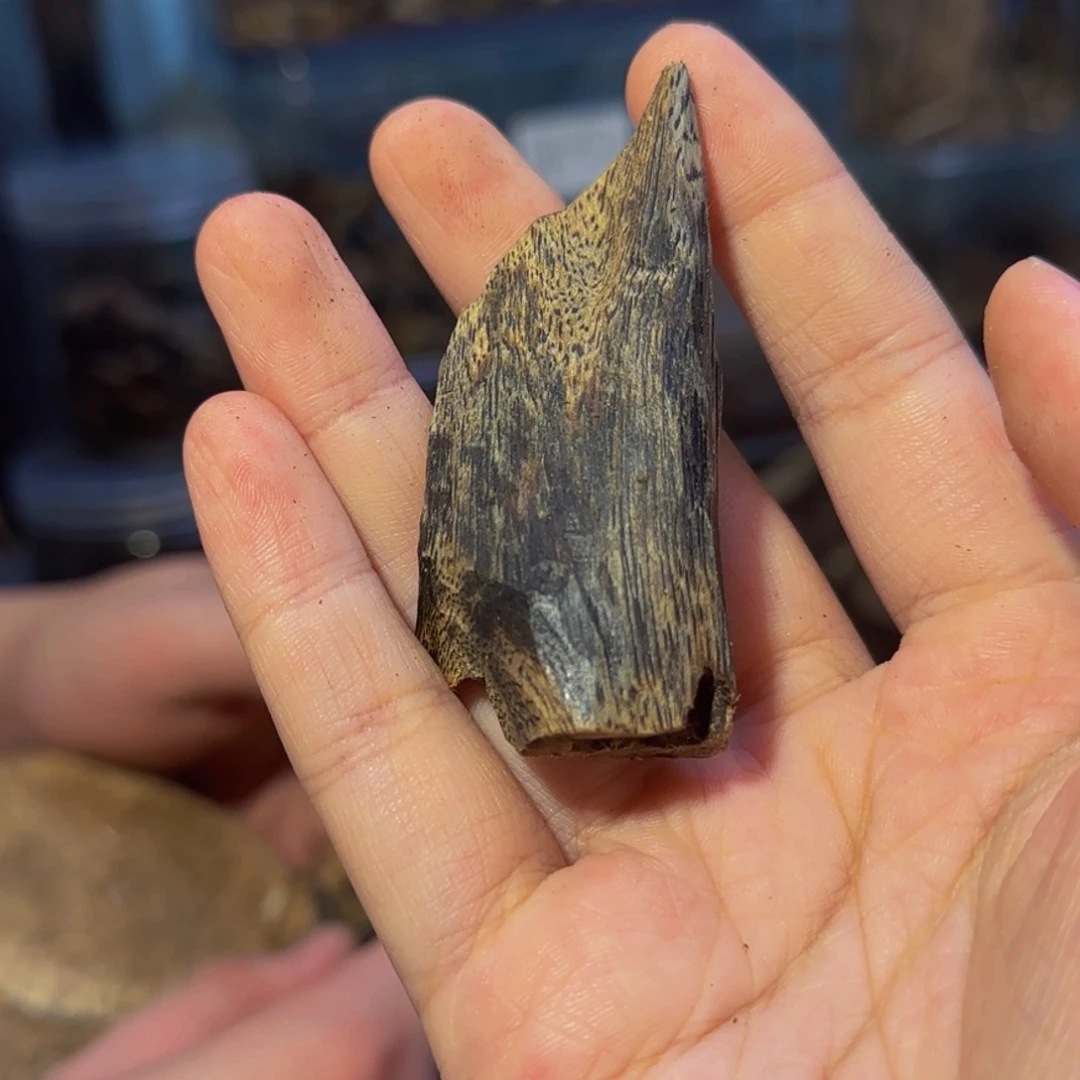 沉香碎屑沉香8克50