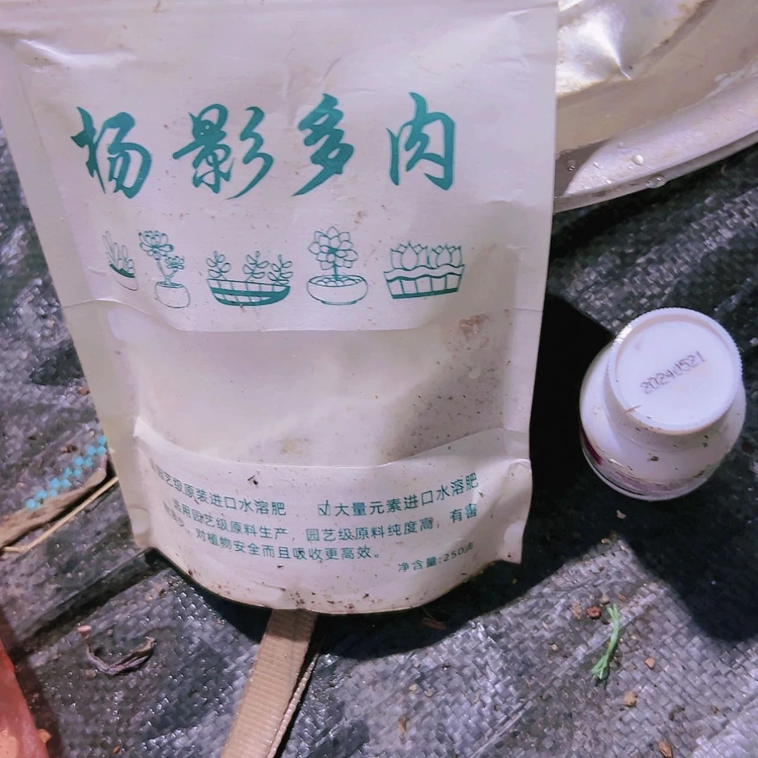 【闪购商品】营养水溶分杀菌