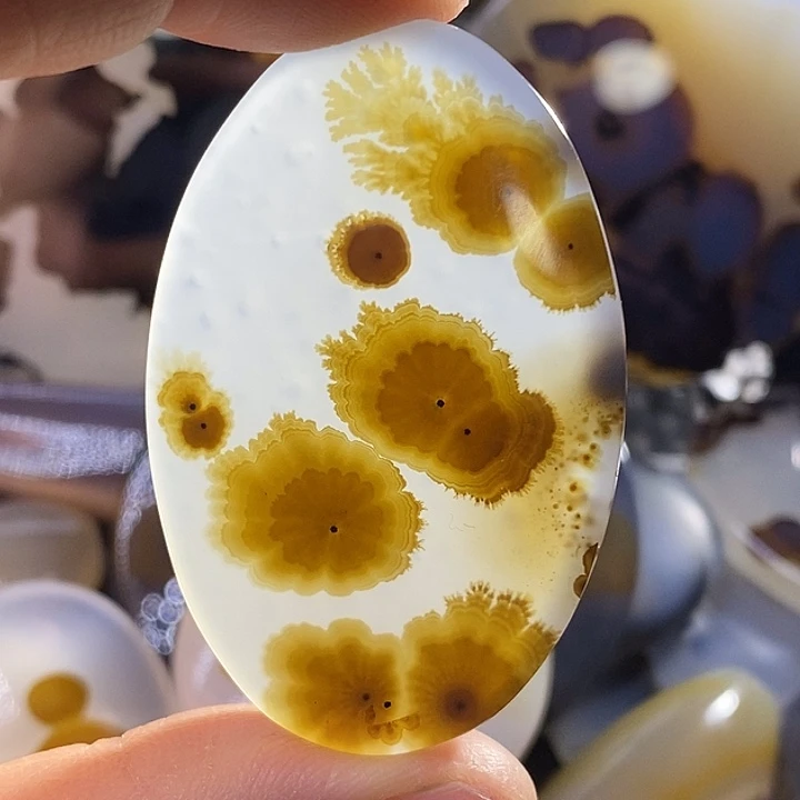 未镶嵌颈饰玛瑙/玉髓