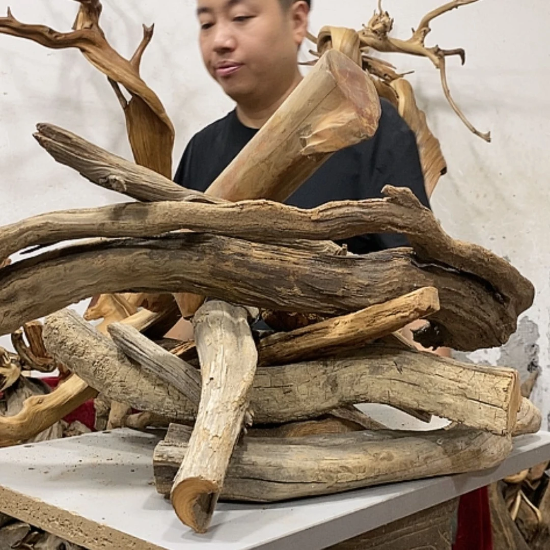 【闪购商品】柏木山*工我们都是好孩子